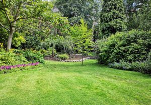 Optimiser l'expérience du jardin à Beaumettes